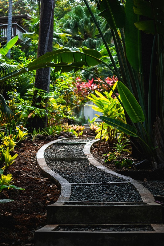 Beautiful Garden Walkway