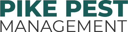 Site Title