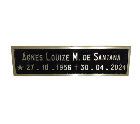 https://0201.nccdn.net/4_2/000/000/087/7f6/f.-b.---placa-8x29-cm.jpeg