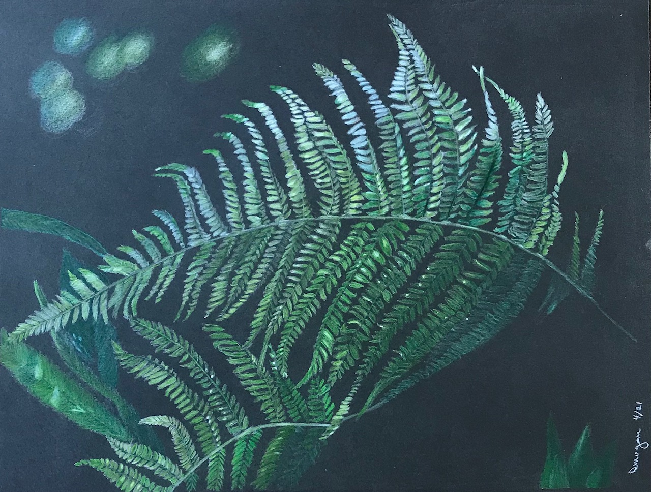 Fern 2